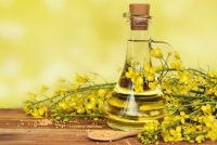 Рыжиковое масло